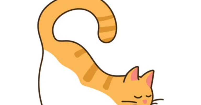 Lo que dice la cola de tu gato: guía completa para entender su lenguaje corporal