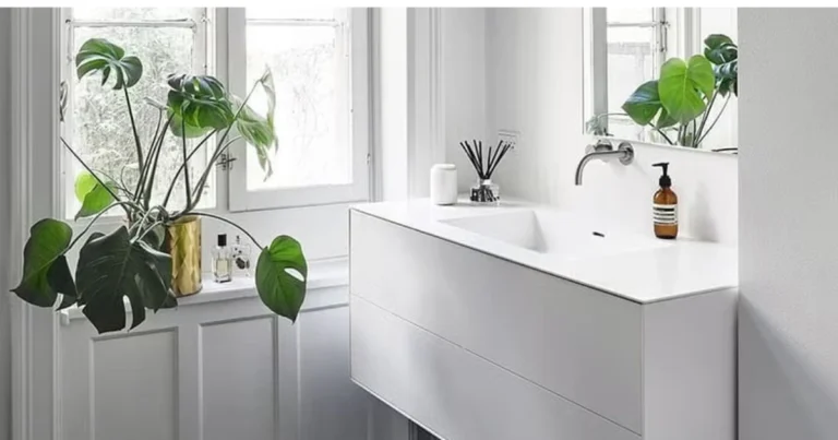 Plantas ideales para el baño: guía completa para crear un espacio verde, fresco y relajante