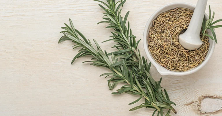 Beneficios del té de romero: para qué sirve, cómo prepararlo y cuándo tomarlo