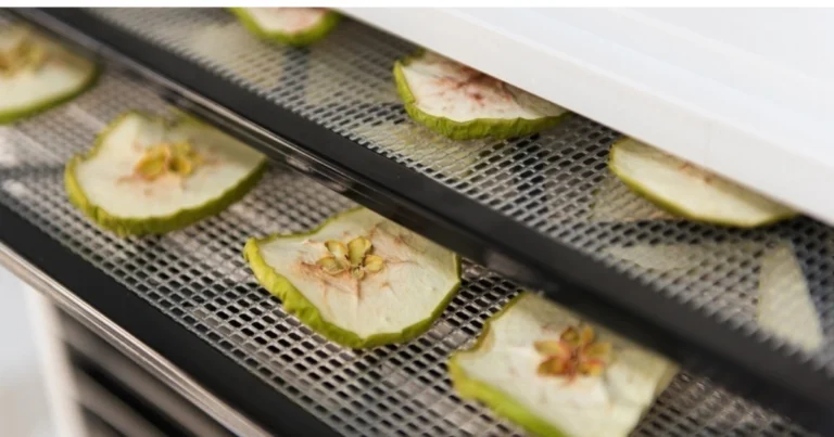 Deshidratador solar casero: cómo conservar alimentos sin electricidad