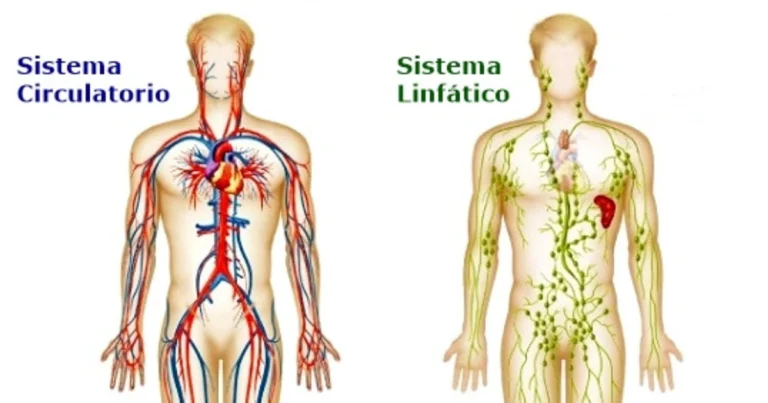 4 salsas dulces caseras para tus postres favoritos