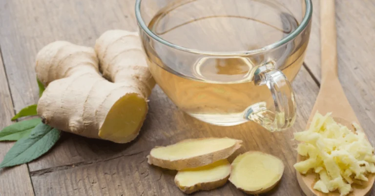 Los Mejores Tés Herbales para Cada Fase de tu Ciclo Menstrual